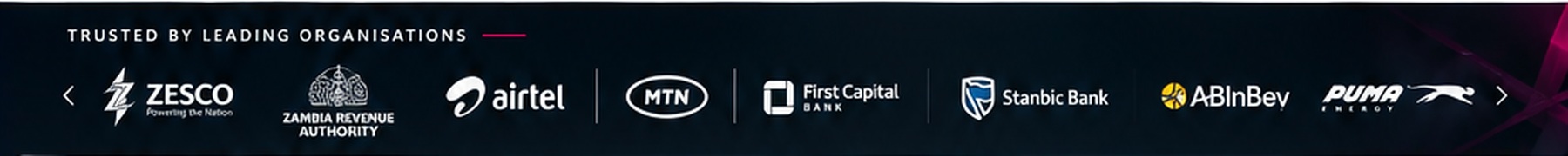 JavaNET client portfolio